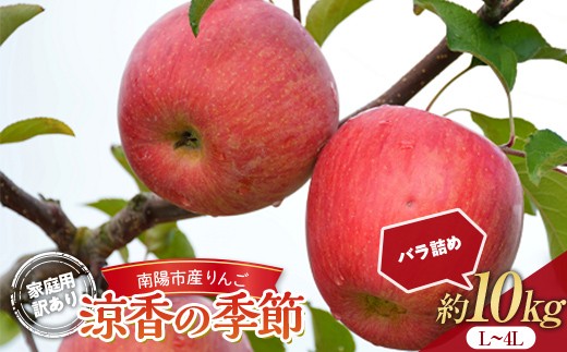 
                  【令和8年産先行予約】 〈訳あり品 家庭用〉 りんご 「涼香の季節」 約10kg (28～40玉) バラ詰め 《令和8年9月下旬～発送》 『マルタニ農園』 リンゴ 山形県 南陽市 [1917]
                