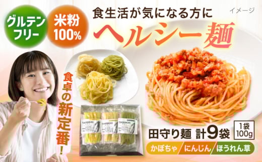 麺 グルテンフリー米粉100％麺　田守り麺彩りセット  | グルテンフリー 米粉 麺 田守り麺 彩りセット グルテンフリー 米粉麺 米麺 ライスヌードル 100% 100パーセント アレルギー対応 小麦不使用 詰め合わせ セット 食べ比べ 3種 3種類 彩り いろどり 野菜麺 ほうれん草 トマト 乾麺 麺類 パスタ 贈り物 ギフト プレゼント 贈答 ヘルシー島根県雲南市/有限会社木村有機農園