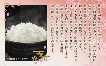 《令和7年産》 福岡県産 夢つくし 精米 10kg （5kg×2袋） こめ コメ ごはん ご飯 コシヒカリ キヌヒカリ 白米 令和7年度米 単一原料米 ブランド米 福岡県 うきは市 常温