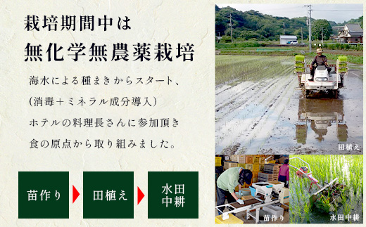 【令和8年度《新米》先行予約】 佐賀県産 夢しずく ５kg【身体に優しい手作り土壌の夢しずく】松本農園 D-283 