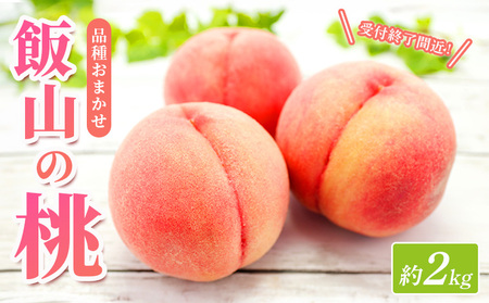 【先行予約】桃 約 2kg もも モモ 白桃 ピーチ 桃 桃 桃