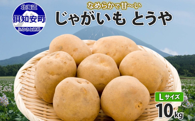 北海道産 じゃがいも とうや Lサイズ 10kg 馬鈴薯 黄爵 ジャ