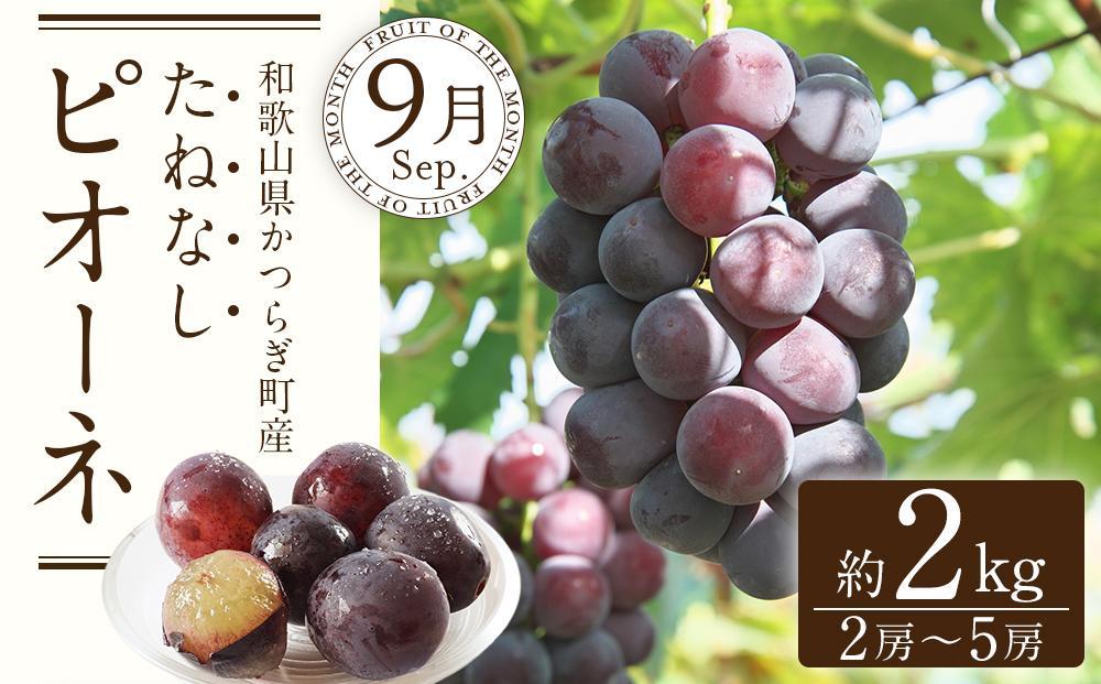 定期便全3回 【7月・8月・9月発送】 和歌山の夏のフルーツをお届け（桃・梨・たねなしピオーネ）【TM179】