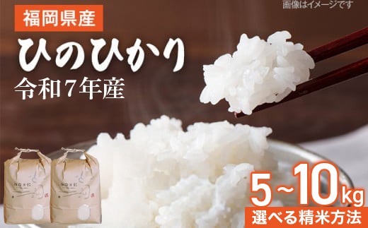 
                  【令和7年産】福岡県 大木町産 ひのひかり 5〜10kg
                