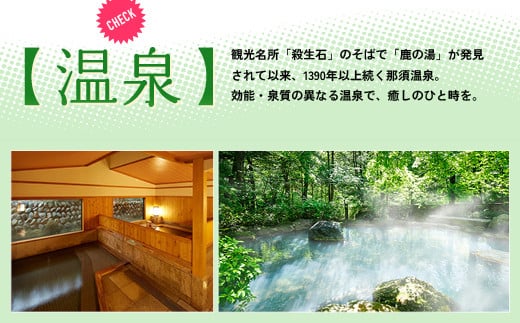 那須温泉旅館協同組合 ご宿泊利用券 60,000円分（3,000円×20枚）〔I-9〕｜宿泊 旅行 チケット 宿泊券 温泉 露天風呂 旅行券 ホテル 観光 国内旅行 那須 栃木県 那須町