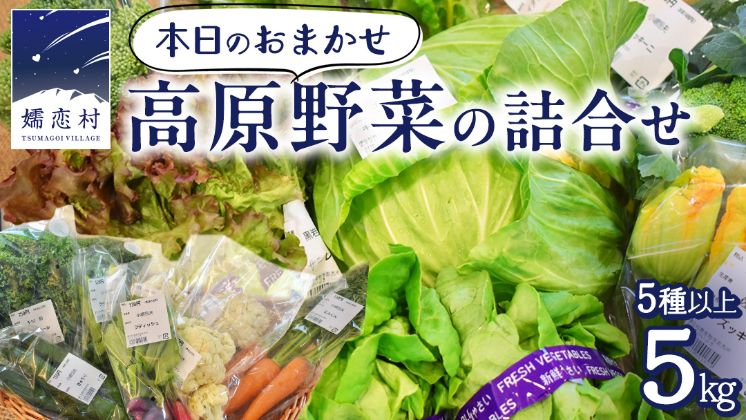 本日のおまかせ 高原野菜 の 詰合せ 5kg 5種以上 おまかせ 野菜 野菜セット 旬 5kg 産地直送 嬬恋 旬の野菜 [AF027tu]