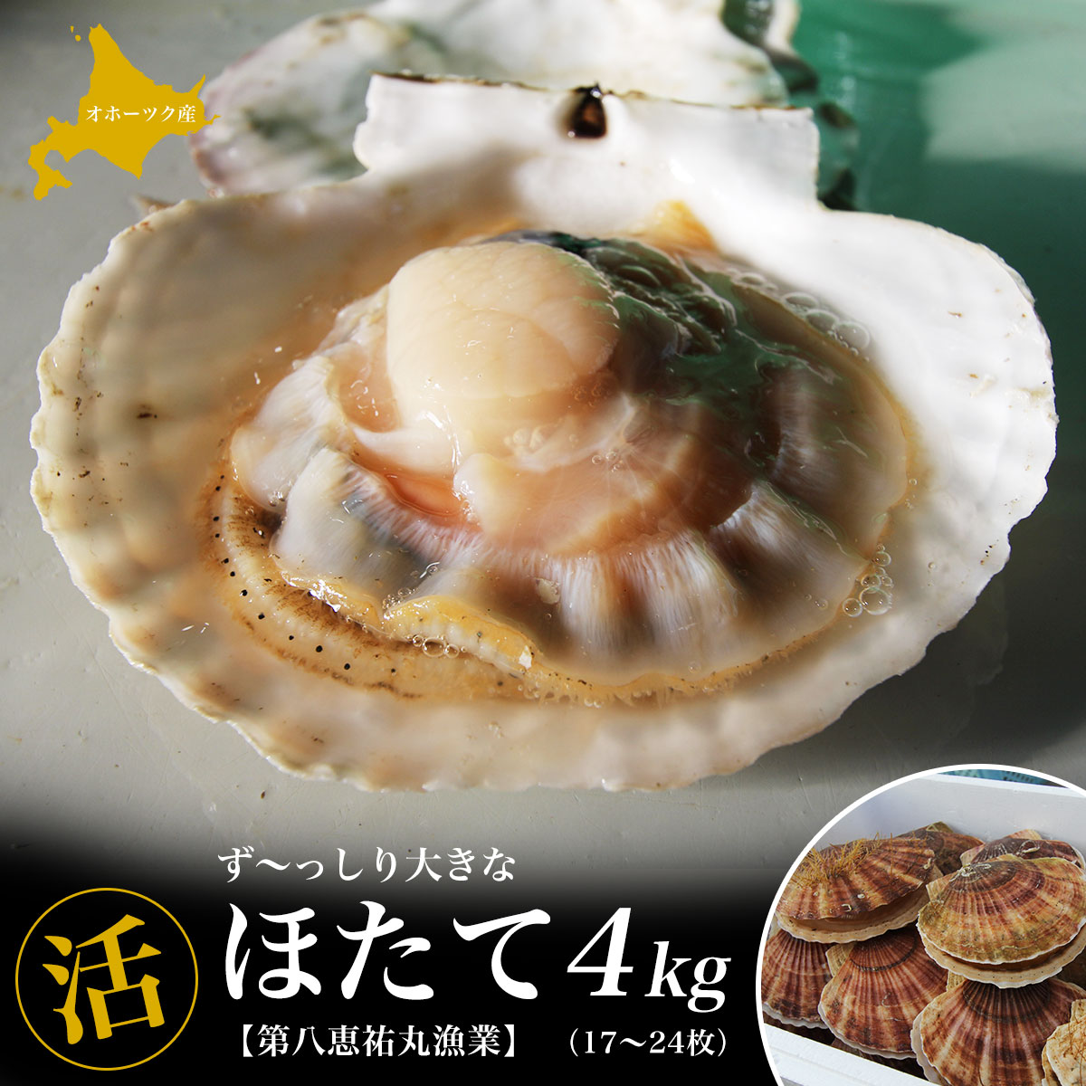 【ふるさと納税】オホーツク産『活』 ほたて 4kg（17～24枚） 【 ふるさと納税 人気 おすすめ ランキング 魚介類 貝 ほたて ホタテ 帆立 帆立貝柱 ホタテ貝柱 ほたて貝柱 新鮮 北海道 佐呂間町 送料無料 】 SRMN015