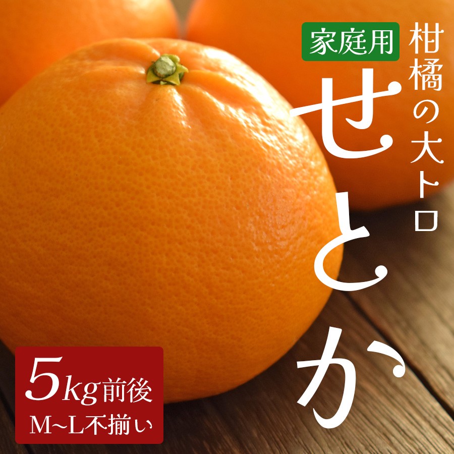 せとか 約5kg 家庭用 高知県産 ハウス栽培｜ハウスみかん 甘い 濃厚 ジューシー 香り豊か 希少 柑橘 柑橘の大トロ 訳あり 果物 フルーツ プレミアム 国産 大月町 人気 美味しい おいしい おすすめ 旬 旬の果物 旬のフルーツ