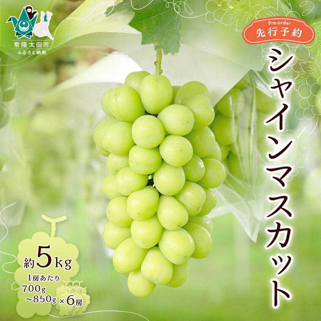 【ふるさと納税】《先行予約 2025年》シャインマスカット6房 約5kg | 茨城県 常陸太田市 ぶどう シャインマスカット 大粒 甘い 香り 美味しい 食感 種なし 皮ごと みずみずしい 果汁 ジューシー ポリフェノール デザート 限定 お取り寄せ ギフト 贈答品