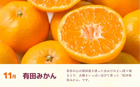 【定期便全3回】産直・和歌山フルーツ定期便（桃・ピオーネ・有田みかん）【TM92239-tkb】