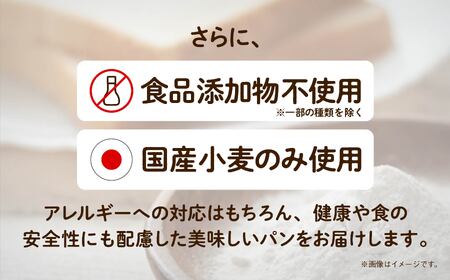 「6ヶ月定期便(毎月)」【卵・乳アレルギー対応】学校給食パンセット（全10種類） パン 定期便