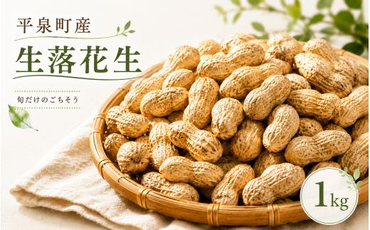 【9月下旬～10月下旬発送】 平泉町産 生落花生 おおまさり ゆで落花生用 1kg / 落花生 ピーナッツ ナッツ おつまみ おやつ 【配送不可地域：九州／沖縄県／離島】