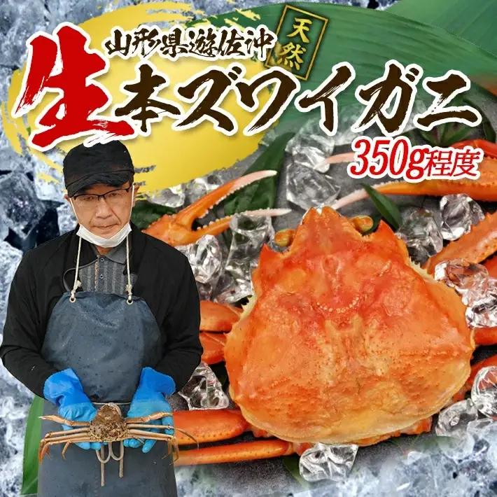 生・本ズワイガニ 1匹 350g程度 遊佐沖 10月中旬～12月下旬頃お届け 冷蔵便 ※着日指定・離島（沖縄県を含む）発送不可 1人前 東北 山形県 庄内地方 日本海 カニ 蟹 かに 海産物 シーフー
