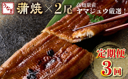 【3回定期便】うなぎ蒲焼2尾 | うなぎ 定期便 国産 うなぎ 定期便 うなぎ 定期便