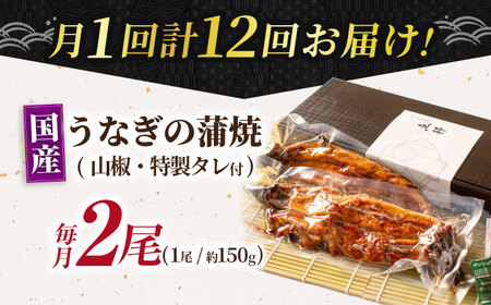 【12回定期便】 鰻蒲焼 2本セット パック 御嵩町 / 鰻 季節料理 魚邦[AVBH013]