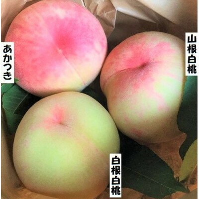 【ふるさと納税】【2026年7月下旬より順次出荷】桃 2～3品種(1.5キロ:約4個)食べくらべセット【配送不可地域：離島】【1741166】