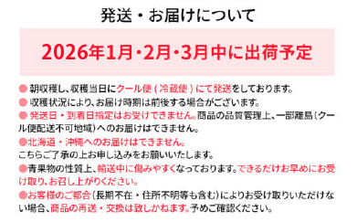 期間限定 いちご あまおう 苺 イチゴ 540g あまおう（大玉）、2パック（270g/パック）【2026年1月〜3月順次発送】 フルーツ 果物 くだもの 大玉 ※北海道・沖縄・離島は配送不可 大木町
