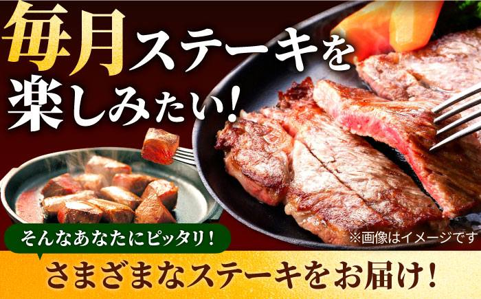 【牧場直送】【3回定期便】佐賀県産和牛 贅沢 ステーキ食べ尽くし【有限会社セントラル牧場】 [IAH080]