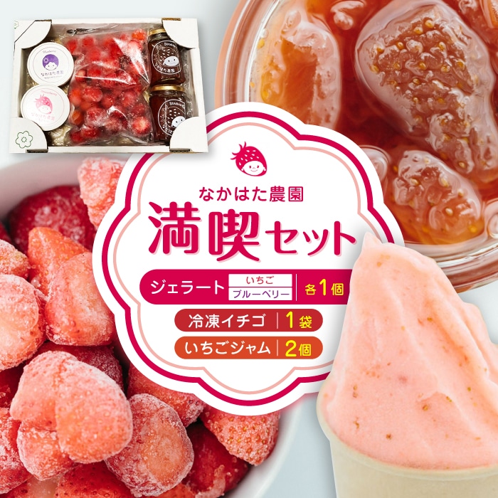 【限定数量】なかはた農園満喫セット ( 冷凍イチゴ 500g いちごジャム 1個 ジェラート 2種 × 各1個 ) アイス 熊本 山都町 農園直送 産地直送【なかはた農園】[YBI021]