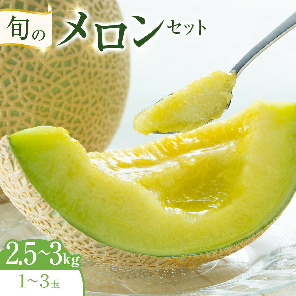 【ふるさと納税】318.【先行予約】旬のメロンセット◇ ※6月上旬～7月下旬頃に順次発送予定