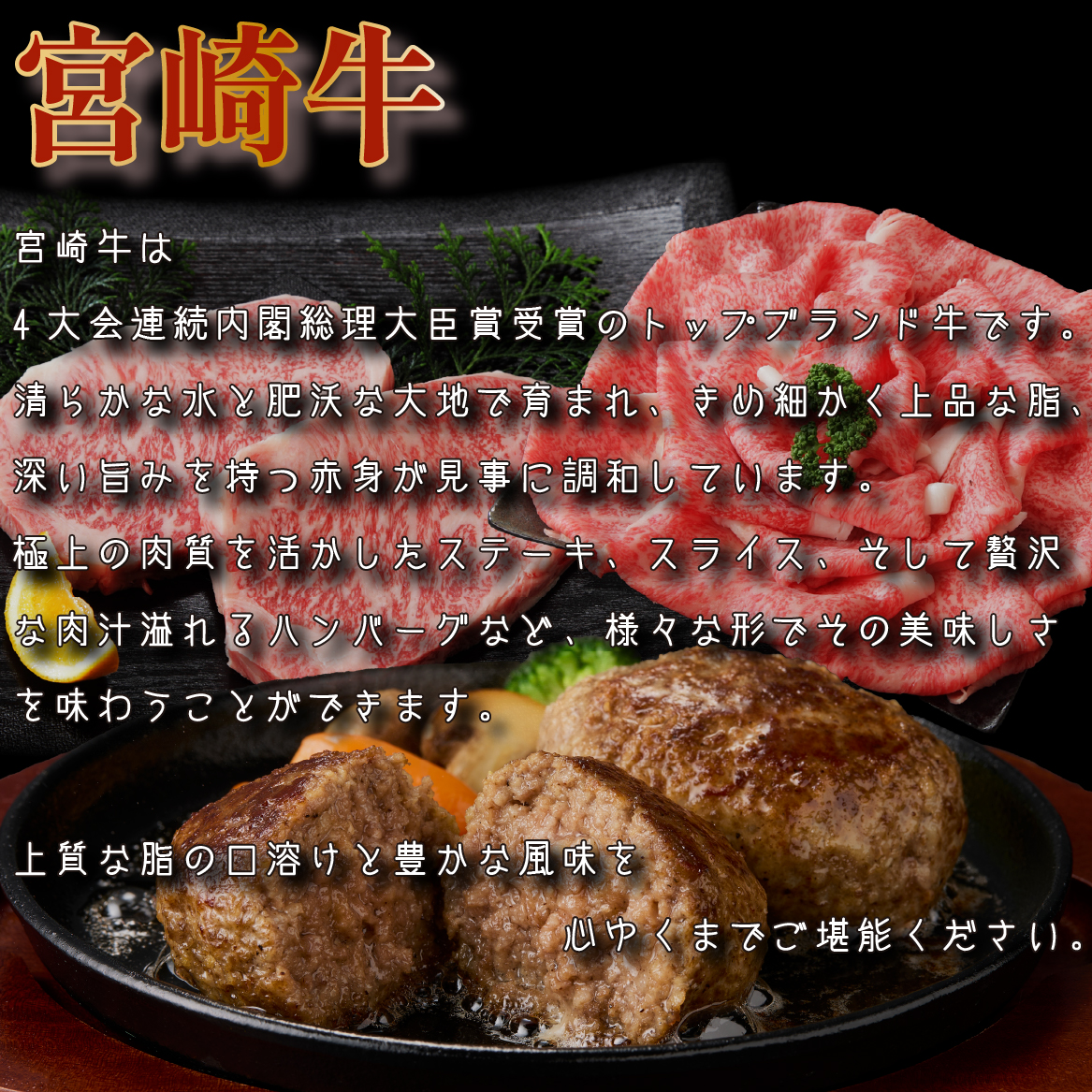 【定期便・全12回】日本一宮崎牛と小林市の魅力満載!!!!!小林大満足プレミアム定期便 100万円コース（国産 牛肉 国産牛 和牛 黒毛和牛 シャインマスカット マンゴー 完熟マンゴー フルーツ 果実