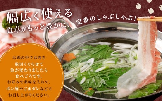 【ANA限定】【6回定期便】鹿児島県産 黒豚バラ しゃぶしゃぶ 合計4.8kg（800g×6回） 黒豚 豚肉 豚バラ 肉 お肉 GSA-207