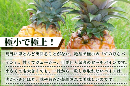 【先行受付】希少！濃厚！「枝先完熟・てのひらパイン」ピーチ・ポコット食べ比べセット　2025年4月～7月順次発送 OI-4