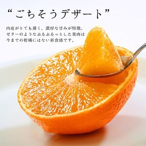 (熨斗付き)コウ果樹園の「厳選　華まどんな」3kg(4L～L　8～15玉)【E33-47】【1526083】