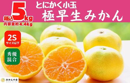 小玉みかん 極早生 箱込 5kg (内容量約 4.4kg) 2Sサイズ以下 秀品 優品 混合 有田みかん 和歌山県産 【みかんの会】　