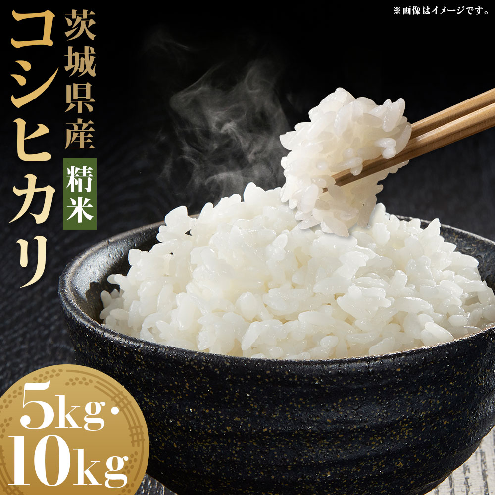 【ふるさと納税】【令和7年産】茨城県産コシヒカリ 精米 5kg or 10kg お米 米 コメ こめ おこめ 白米 ごはん ご飯 コシヒカリ こしひかり 茨城県 守谷市