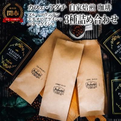 ふるさと納税 関市 ブルーマウンテン エチオピアゲイシャ パナマゲイシャ 100g (約10杯分)×3種類GF-023