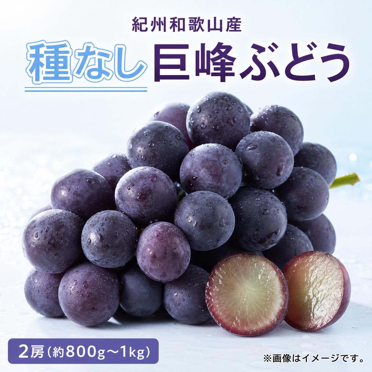 紀州和歌山産の種なし巨峰ぶどう2房（約800g?1kg）