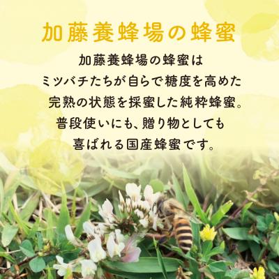 ふるさと納税 南さつま市 【国産 純粋はちみつ】百花蜂蜜 1.2kg 鹿児島産 加藤養蜂場 |  | 01