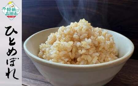 令和7年産 ひとめぼれ 玄米 5kg お弁当 おにぎり 米 ひとめぼれ