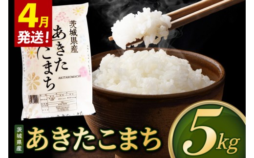 【2027年4月発送】米 あきたこまち 精米 5kg 令和8年産 茨城県産 お米 こめ コメ ごはん 白米 アキタコマチ 茨城県産米 単一米 単一原料米 安心 安全 送料無料 国産 人気 数量限定 （85-R8i133_04）