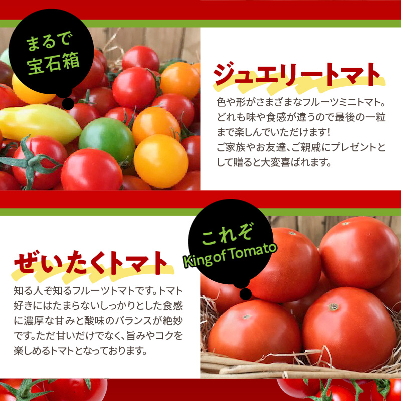 【大好評の定期便】1月～6月毎月発送！6か月楽しめる長田農園旬のスペシャル定期便 野菜ソムリエサミット 金賞 受賞 長田農園 産地直送 トマト とまと 野菜 やさい フルーツ サラダ 濃厚 甘い ご褒