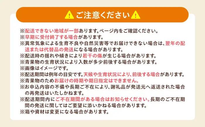 梅 七折小梅 生梅  約1kg 梅干 BJBI013