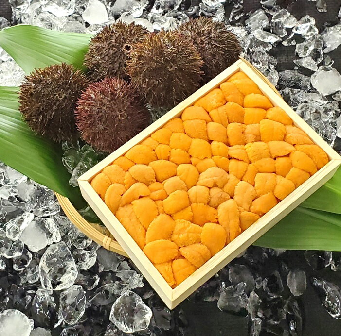 【ふるさと納税】【12月17日決済確定分まで年内配送】 エゾバフンウニバラ詰め 150g × 1 折 うに ウニ 雲丹 バフンウニ エゾバフンうに えぞばふんうに 蝦夷バウンウニ 蝦夷ばふんうに ウニ丼 うに丼 雲丹丼 刺身 お取り寄せ グルメ 海鮮 北海道 根室市 C-71024