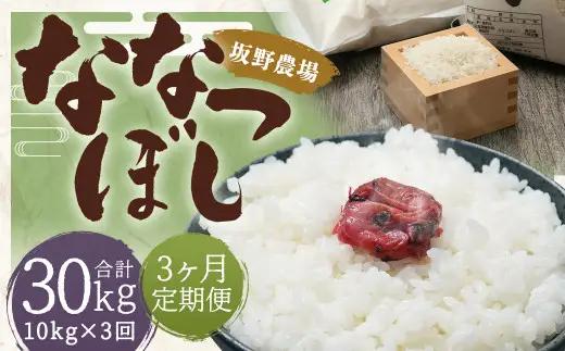 【2026年10月上旬発送開始予定】【3ヶ月定期便】らんこし米 ななつぼし約10kg（約5kg×2袋）