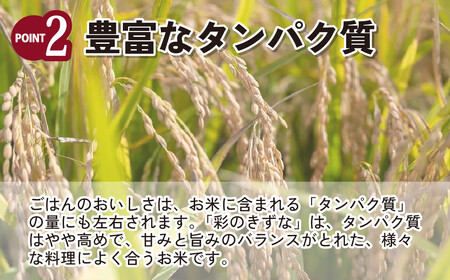 米 令和7年産 彩のきずな 10kg (5kg×2袋) | 白米 米 桜国屋