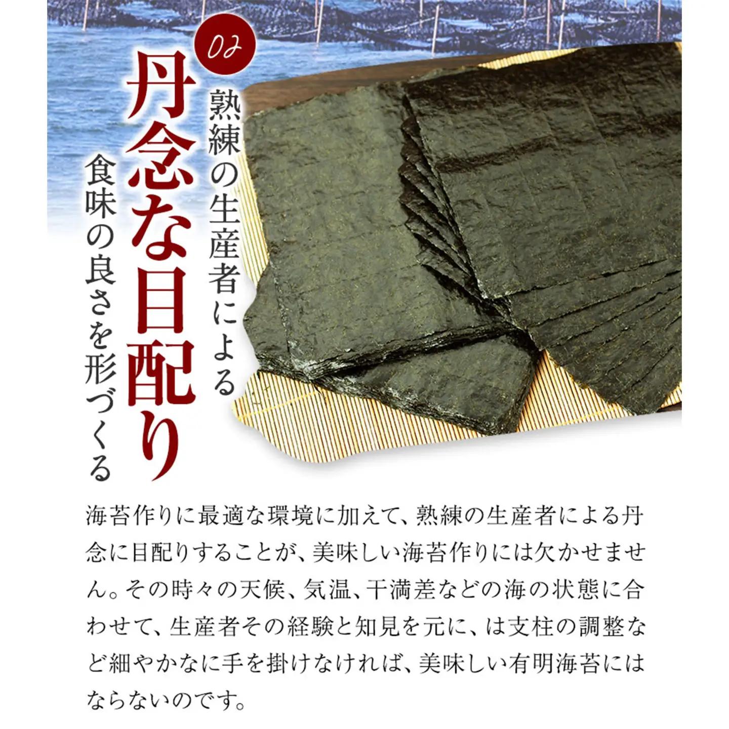 【6ヶ月定期便】有明海苔 全型 10枚 訳あり