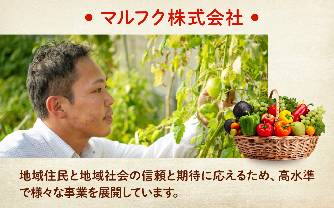 豆腐 愛菜連のよせ豆腐 4丁 広島県福山市/マルフク株式会社 よせ豆腐 すくい豆腐 国産 大豆 豆腐 やわらか 手作り 冷奴 湯豆腐 [BAFW007]