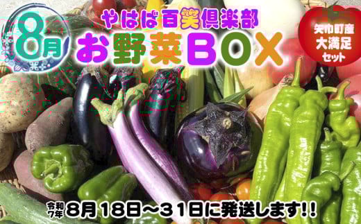 
            数量限定　矢巾町産　夏野菜セット【10種】8月発送
          
