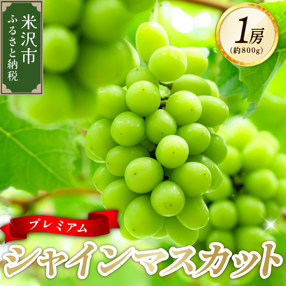 【先行予約】 令和8年産 プレミアム シャインマスカット 1房 ( 約800g ) 2026年10月頃～ お届け予定