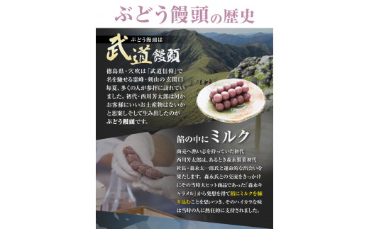 ぶどう饅頭 25本 (5本入り5袋) 《30日以内に出荷予定(土日祝除く)》有限会社日乃出本店 徳島県 阿波 ブドウ 饅頭 飴 ミルク 自家製あん 老舗 和菓子 剣山 穴吹川 贈り物 衛生的 個包装 
