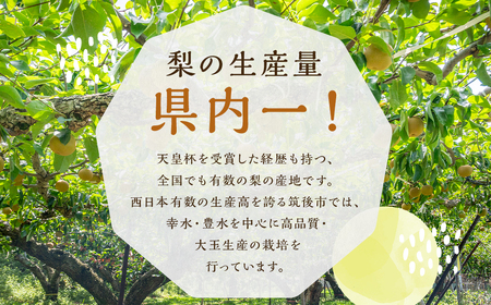  豊水梨 約3kg 5～8玉【2025年8月上旬～9月上旬発送予定】 ナシ 梨 果物 フルーツ 福岡県産