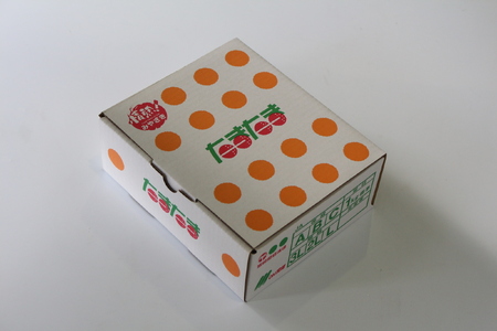 AA-A2 串間市産の完熟きんかん「たまたま」(2L・計1kg)【串間市大束農業協同組合】