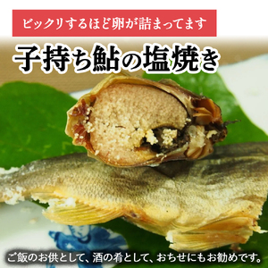 【希少】子持ち鮎の塩焼きと焼鮎醤油のセット／Ess-12