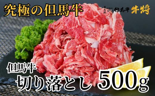 但馬牛 切り落とし 500g　02-02