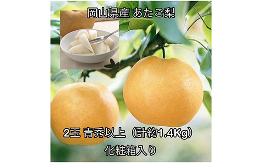 あたご梨 2玉 青秀以上 (約1.4kg )化粧箱入り 岡山県産